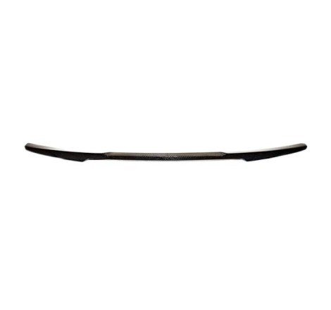 Aileron Carbone BMW F22/F87 M2