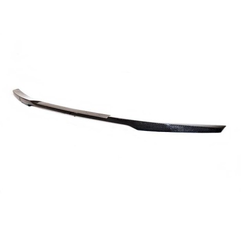 Aileron Carbone BMW F22/F87 M2