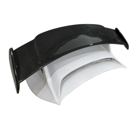 PORTON PORSCHE 911 2011 CON ALERON CARBONO
