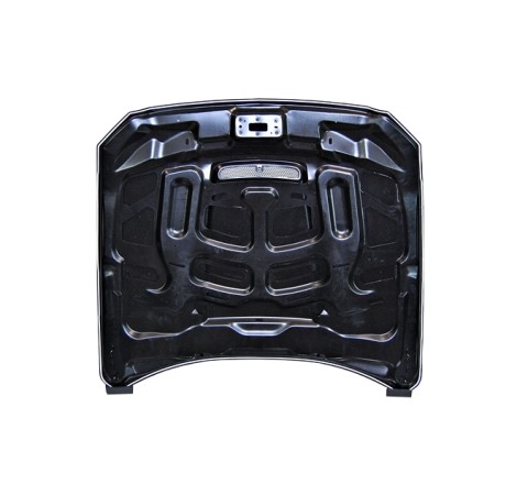 MOTORHAUBE SPORTHAUBE Ford Mustang 2015-2017 look GT350
