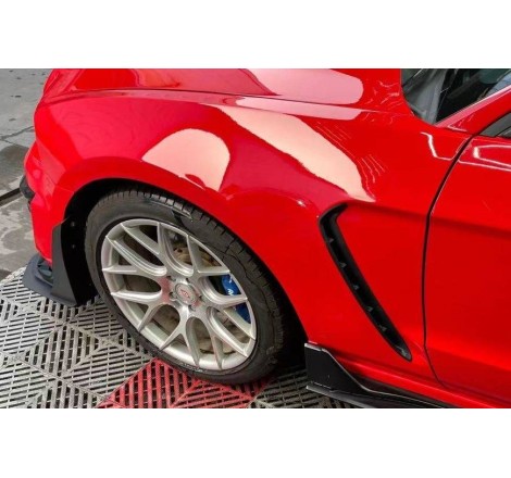 Front Fenders Ford Mustang 2010-2014 look GT500