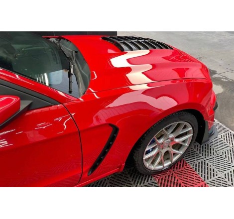 Front Fenders Ford Mustang 2010-2014 look GT500