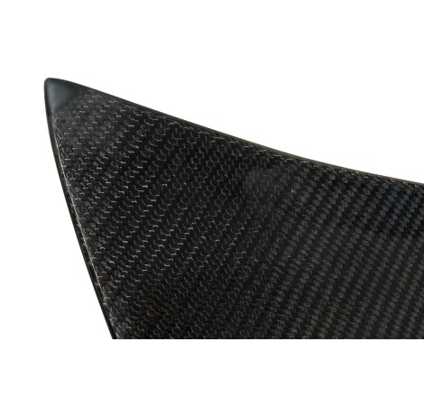 Portellone Carbonio BMW E46 99-05 2P / E46 Look M3 CSL