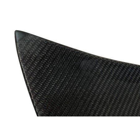 Portellone Carbonio BMW E46 99-05 2P / E46 Look M3 CSL