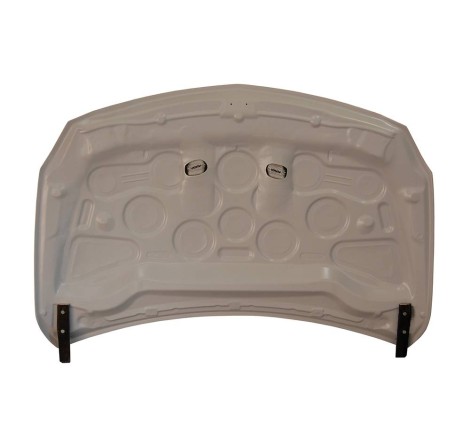 CAPOT FIBRE MERCEDES W176 2012-2015