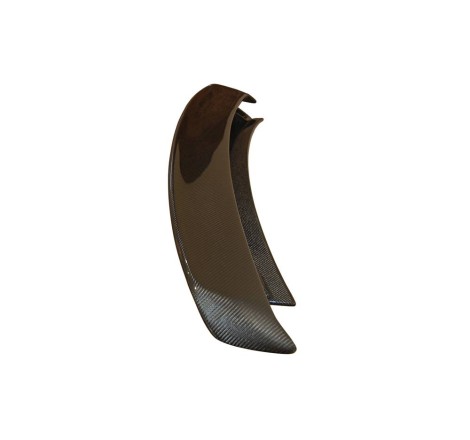 AILERON CARBONE AUDI TT 06-14 8J