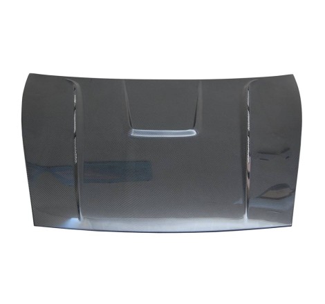 CAPO CARBONO PORSCHE CAYENNE 2009-2010