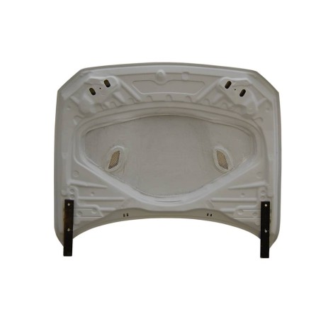 COFANO FIBRA F20/F21 2012-2019  /  F22/F23 2014+ / F87 CON TOMA