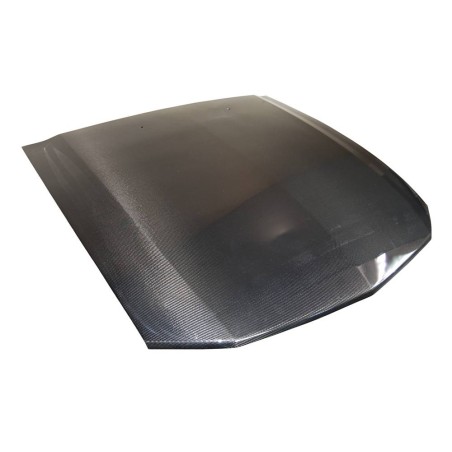 capo de carbono Ford Mustang '05-'07