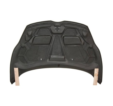 CAPOT CARBONE FORD FIESTA '09 HATCHBACK