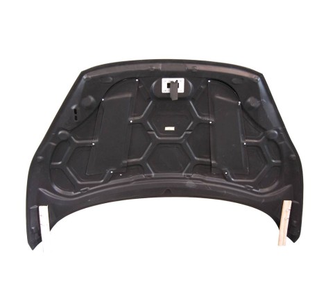 Carbon Fibre Bonnet Ford Fiesta 2013. With Air Intake