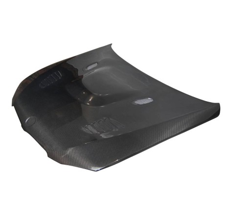 CAPO CARBONO BMW E92 LOOK M3 GTR