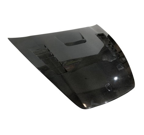 CAPO CARBONO PORSCHE CAYENNE 958.1 2011-2014