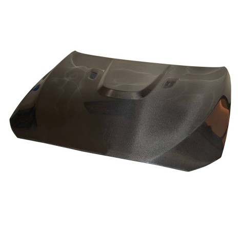 CAPO CARBONO BMW F10 2010-2016 look M3 CON TOMA