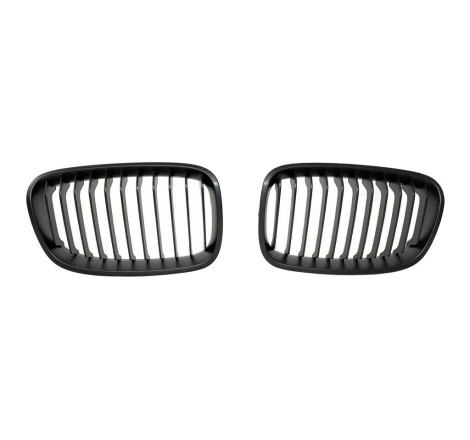 SPORTGRILL BMW F20 / F21 2012-2014 II