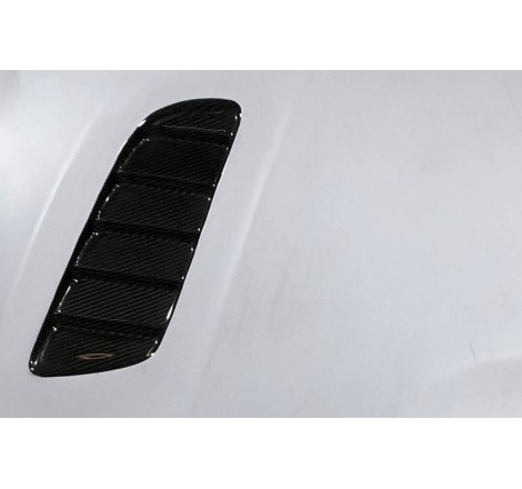 CAPOT FIBRE BMW F20/F21 2012-2019  /  F22/F23 2014+ / F87 LOOK M3