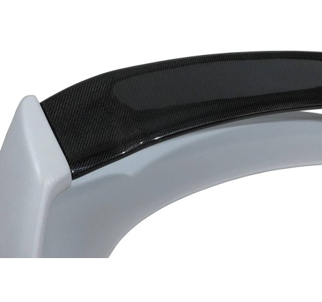 AILERON HONDA CIVIC 2006-2014 FN2 TYPE MUGEN FLAT CARBONE