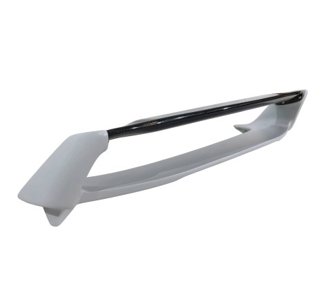 AILERON HONDA CIVIC 2006-2014 FN2 TYPE MUGEN FLAT CARBONE