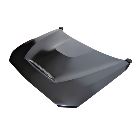 Bonnet BMW F20/F21 12-19 F22/F23 2014+ F87 M2 Look GTS