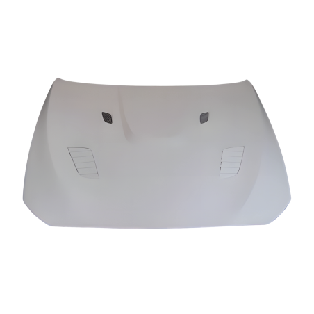 Fibreglass Bonnet BMW F10 look GTR