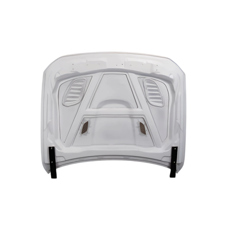 FRONTHAUBE KOFFERRAUM DECKEL ECHT  BMW F10 look GTR