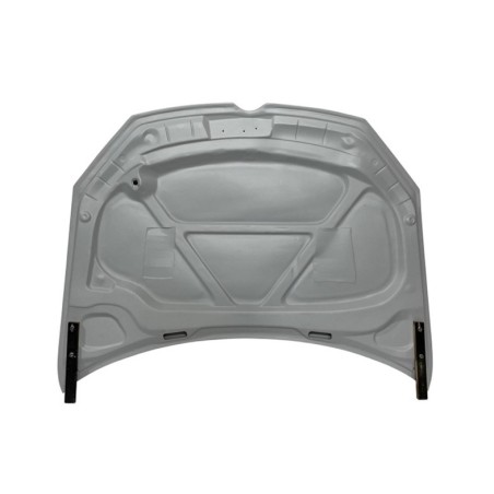 Kit De Carrosserie Volkswagen Golf 6 Look R20 Capot