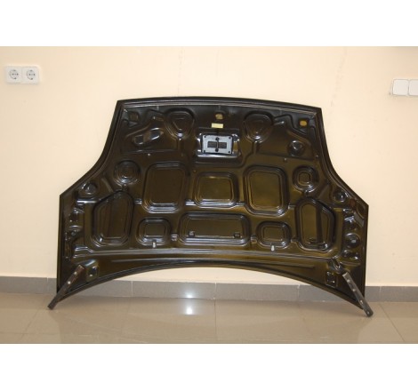 Capot Carbone Ford Fiesta '02 S/T