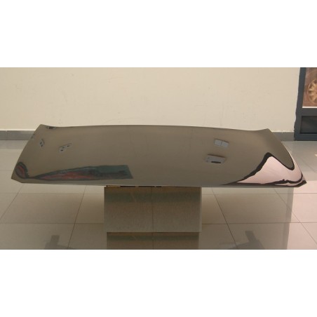 Capot Carbone Renault Megane 2003 S/T