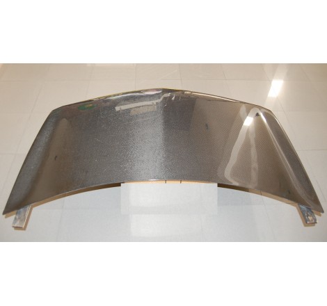Capot Carbone Renault Megane 2003 S/T