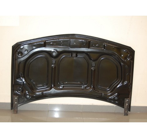 Capot Carbone Renault Megane 2003 S/T